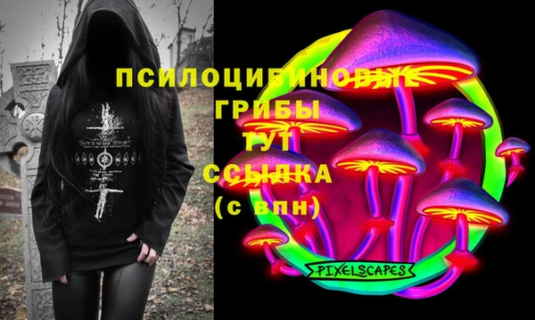 спайс Карталы